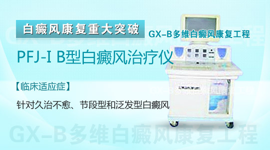 PFJ-I B�Ͱ���������