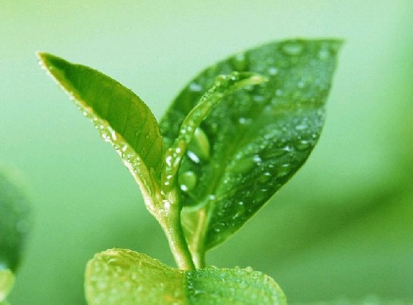 ����ר��ҽԺ
