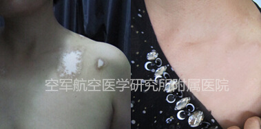 �������衰���ס�������