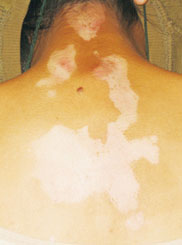 ��Щ�����ܸ�����������