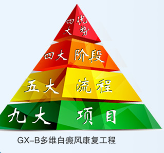 GX-B多维白癜风康复工程